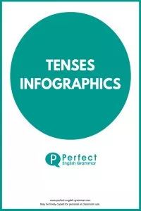 Past Perfect Infographic